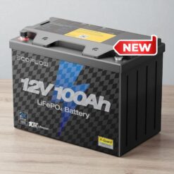 Ắc quy ECOFLOW 12V 100Ah LiFePO4, BMS 100A tích hợp
