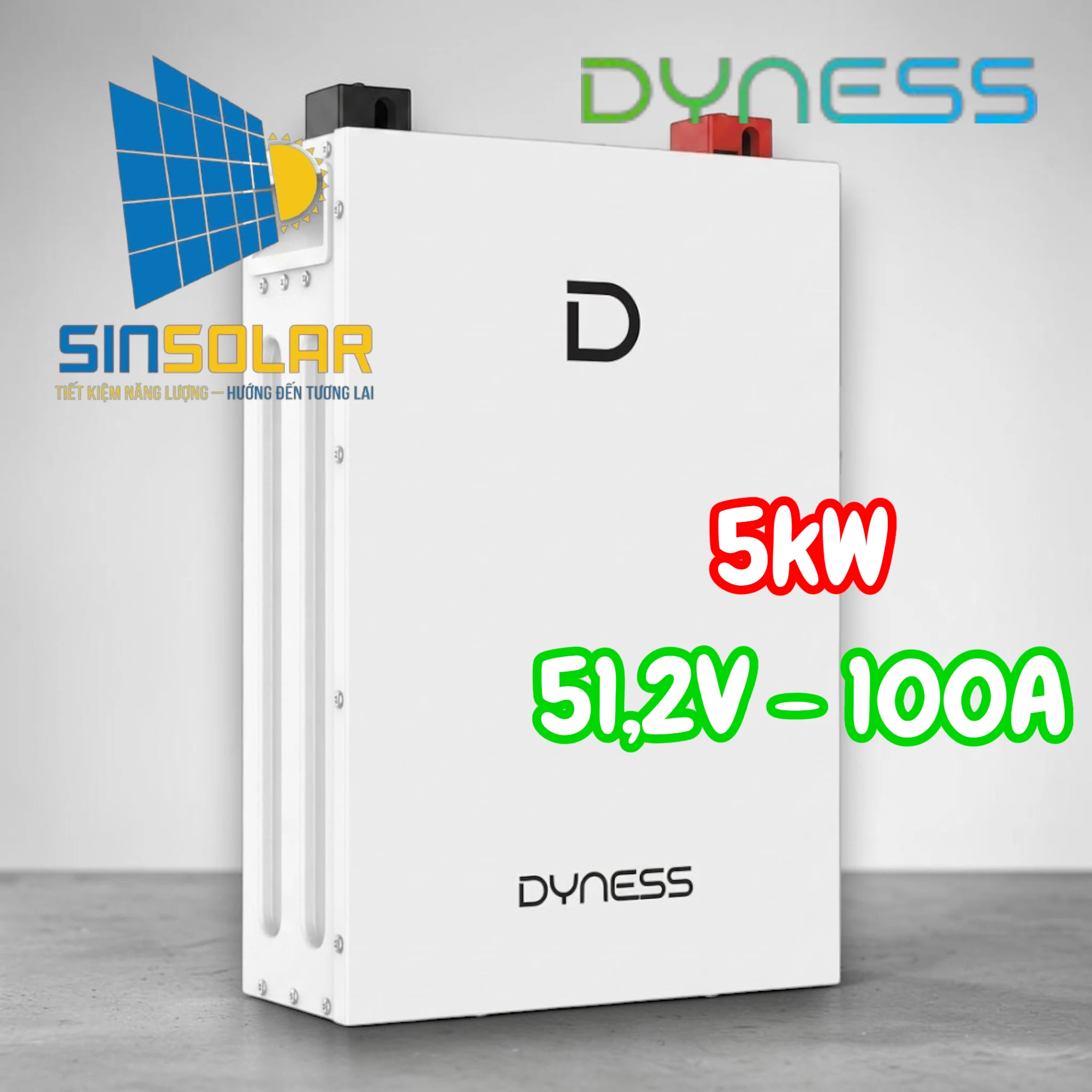 Pin Lưu Trữ Lithium 5kWh Dyness DL5.0F 51.2V 100Ah