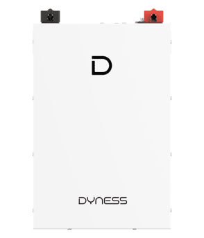 Pin Lưu Trữ Lithium 5kWh Dyness DL5.0F 51.2V 100Ah - Ảnh 3