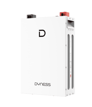 Pin Lưu Trữ Lithium 5kWh Dyness DL5.0F 51.2V 100Ah - Ảnh 4