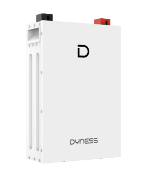Pin Lưu Trữ Lithium 5kWh Dyness DL5.0F 51.2V 100Ah - Ảnh 2